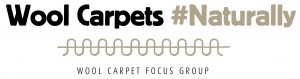Wool Carpet Focus Group